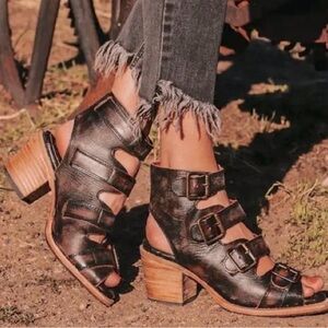 Freebirds Quail in black distressed